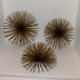 Vintage starburst urchin wall art