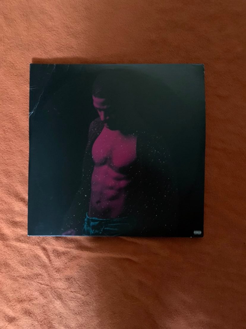 Passion pain and Demon slaying Vinyl