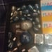 Mixed Lot of Sylvania Flashbulbs