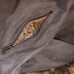 Motorcycle jacket