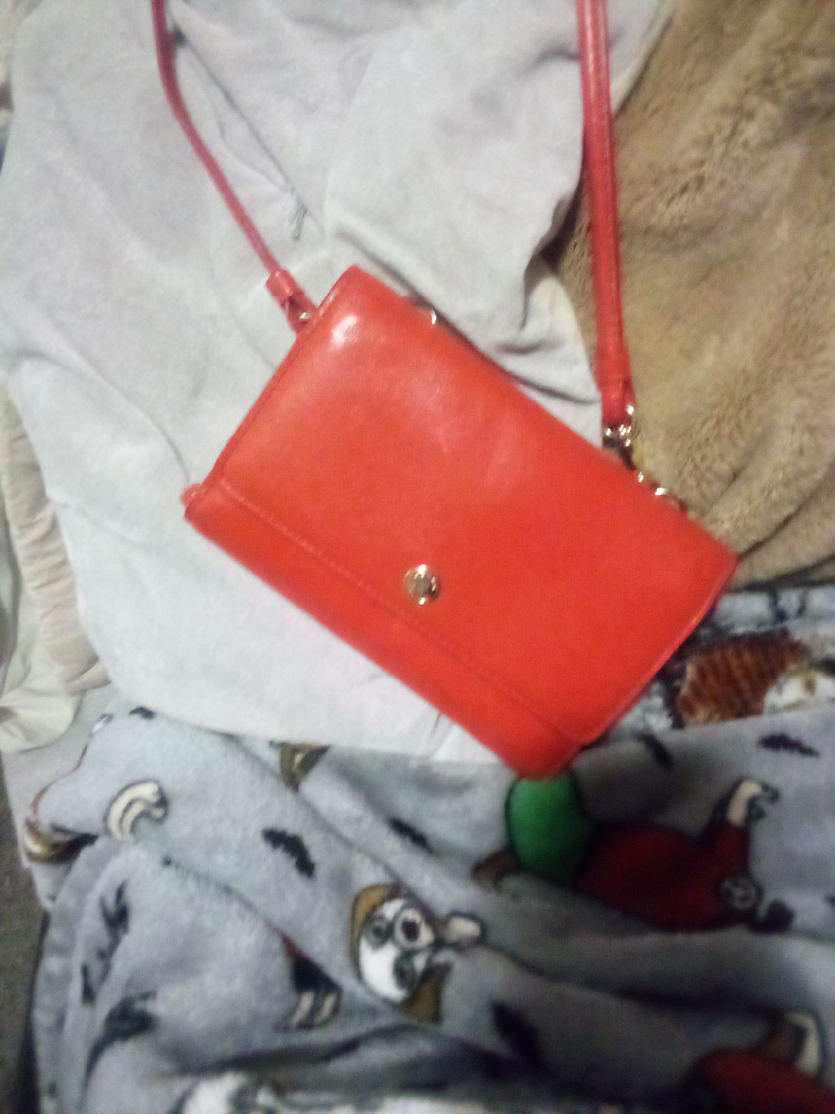 Coach purse and wallet