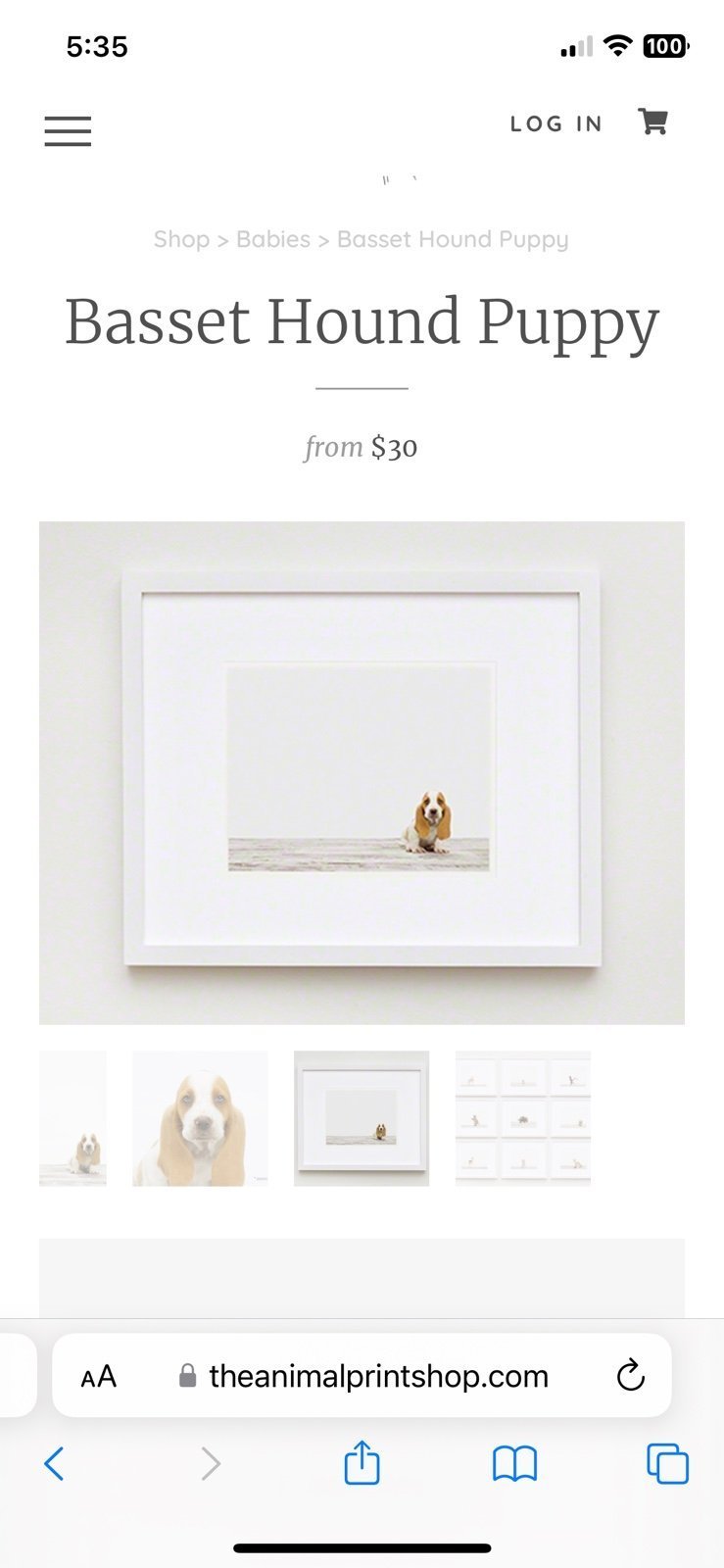 Bundle Animal print wall art puppy and lamb