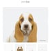 Bundle Animal print wall art puppy and lamb
