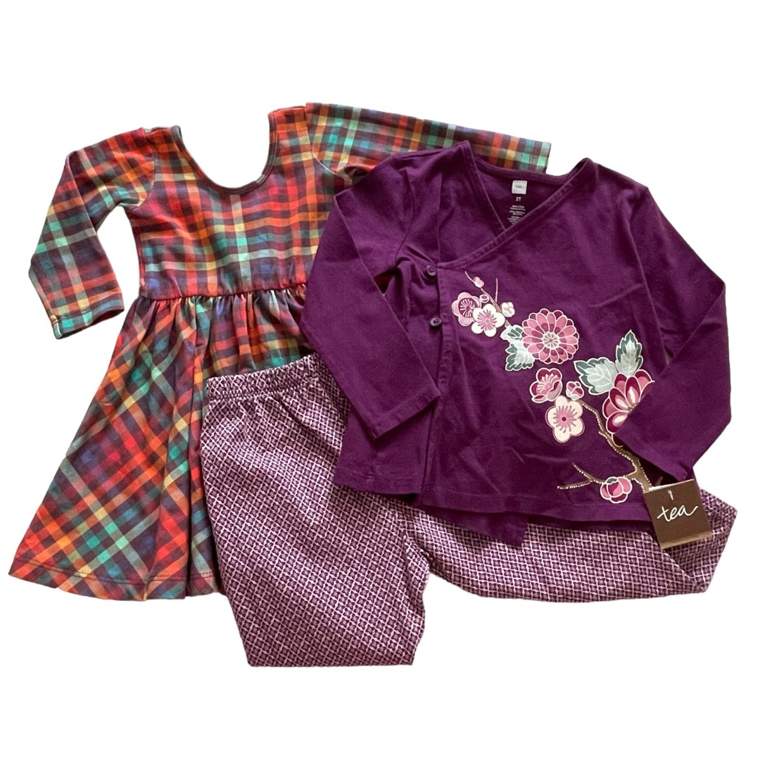 Tea Collection 2T Dress Tops and Pants Bundle of 3 Multicolor 2T