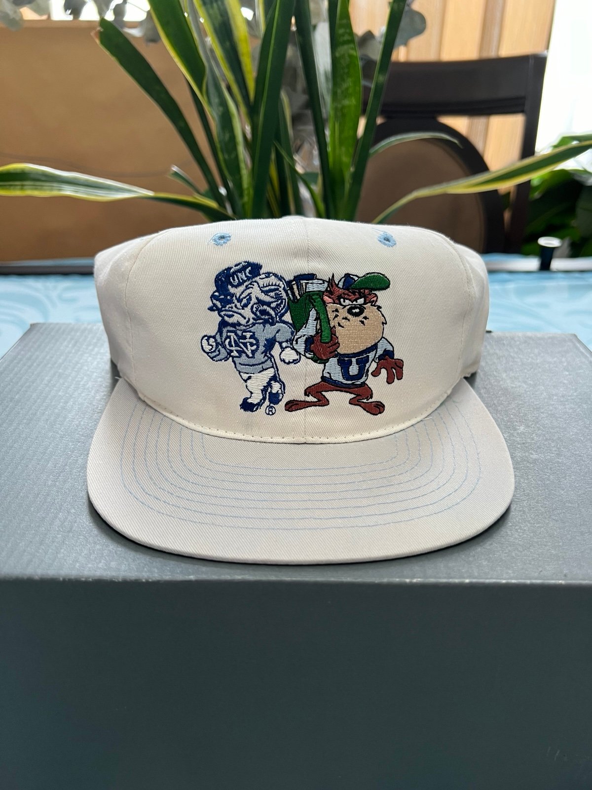 Vintage UNC looney tunes hat