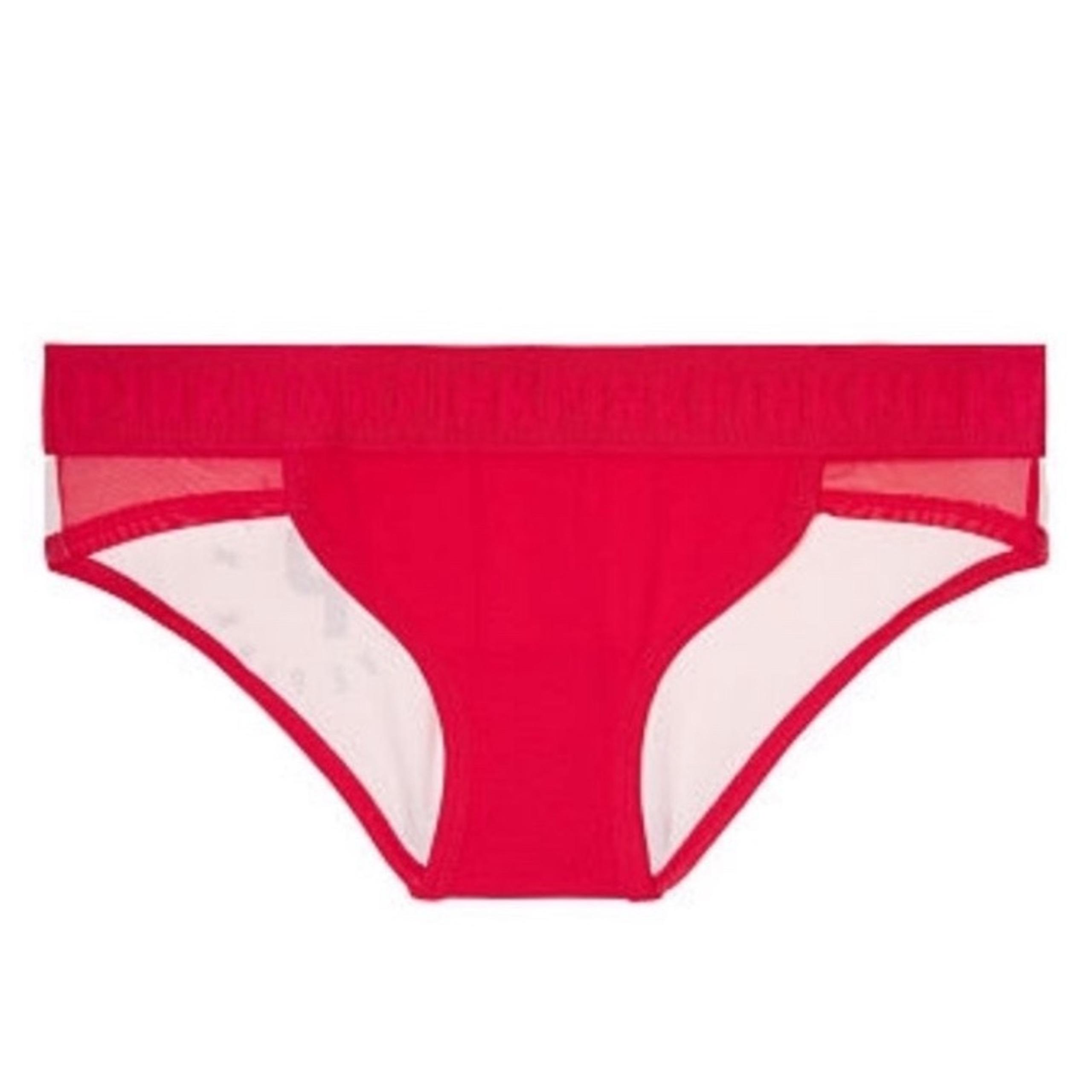 New Victoria’s Secret PINK Logo Mesh Bikini Panty - Small