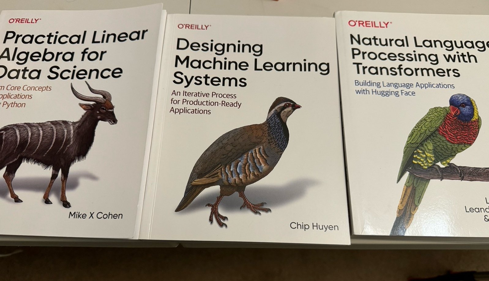 70% off set of 3 Fundamental Machine Learning Book
