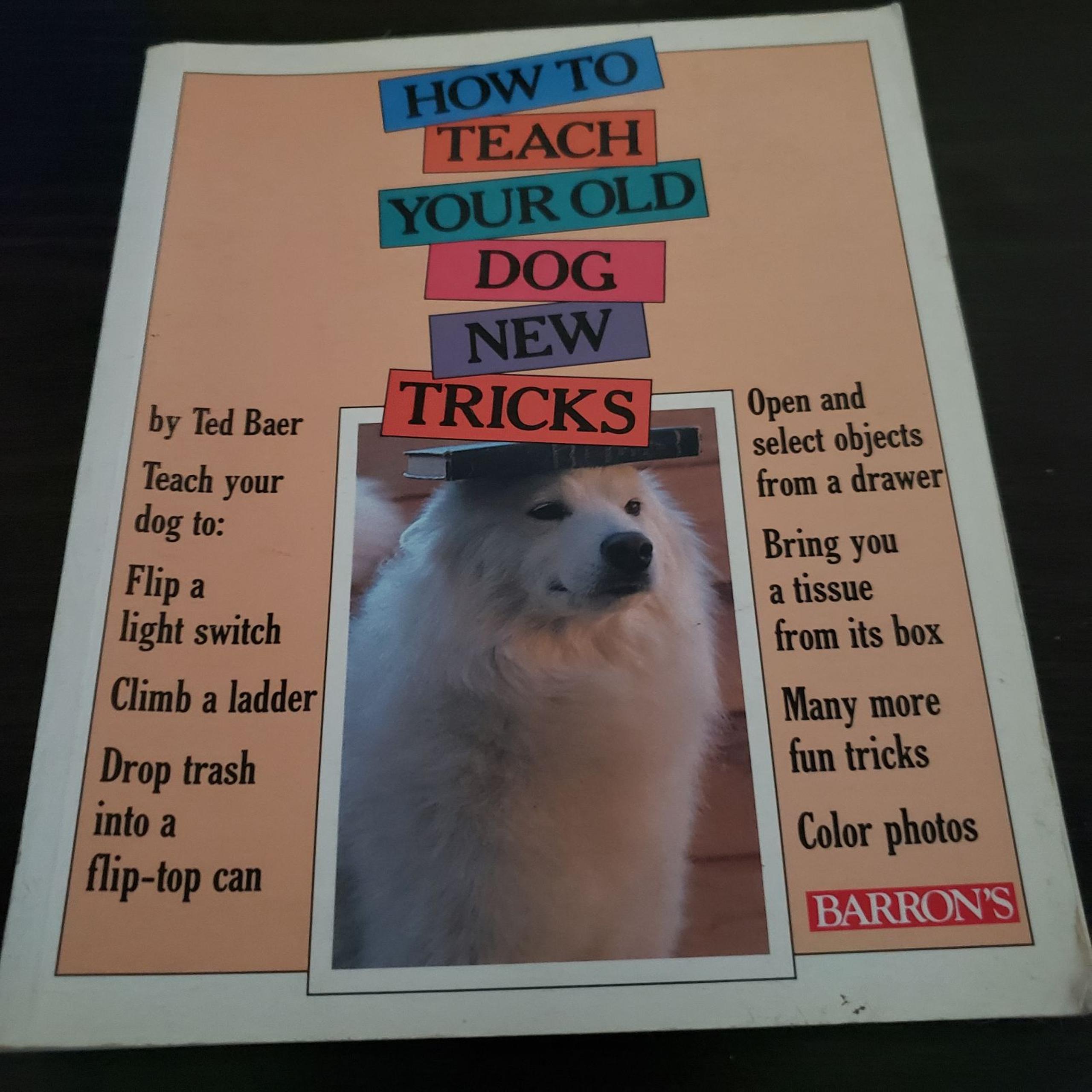 HOW TO TEACH YOUR OLD DOG NEW TRICKS