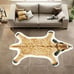 SoftDeer Fluffy Rug, Imitation Long Tail Deer Fur Animal Printed Carpet