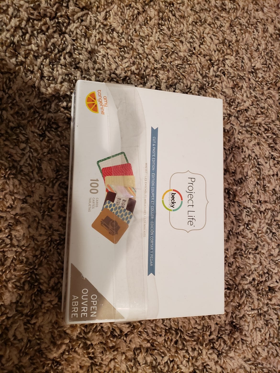 Project life scrapbooking
