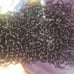 Brazilian Curly Bundles