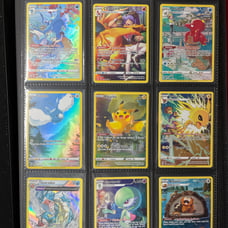 Pokémon Trainer Gallery Lot
