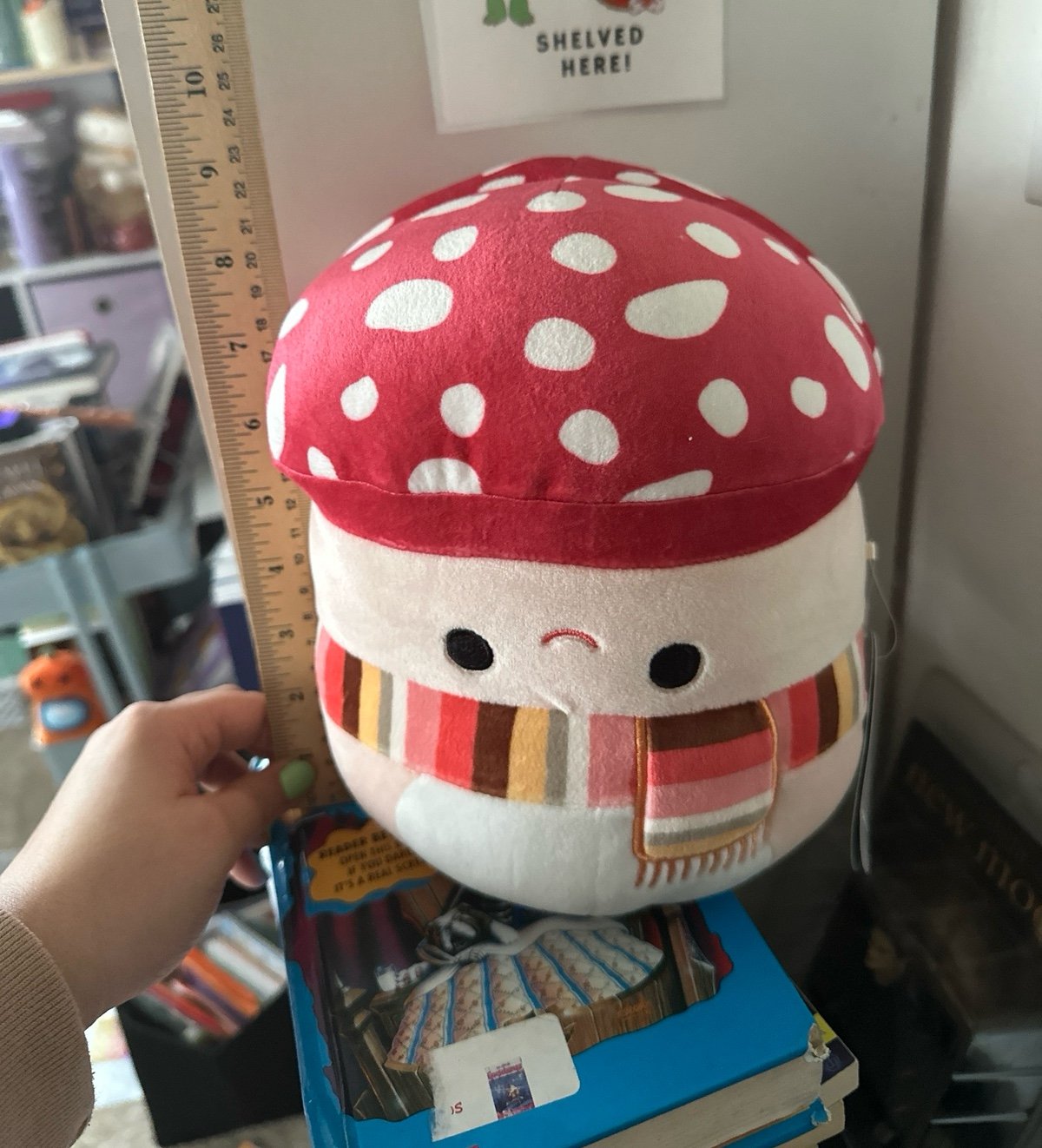 Malcolm the Mushroom Defect upside down Smile Squishmallow
