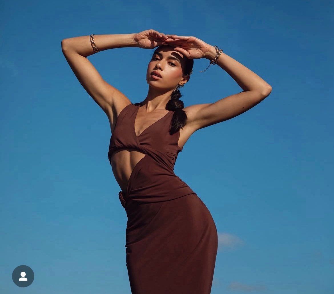 Zara dress fitted bodycon Brown Cutout Midi Party Wedding Coctail
