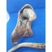 Rustic Executive Antler Pen and Driftwood Holder - Beautiful Estate Find