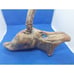 Rustic Executive Antler Pen and Driftwood Holder - Beautiful Estate Find
