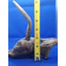 Rustic Executive Antler Pen and Driftwood Holder - Beautiful Estate Find