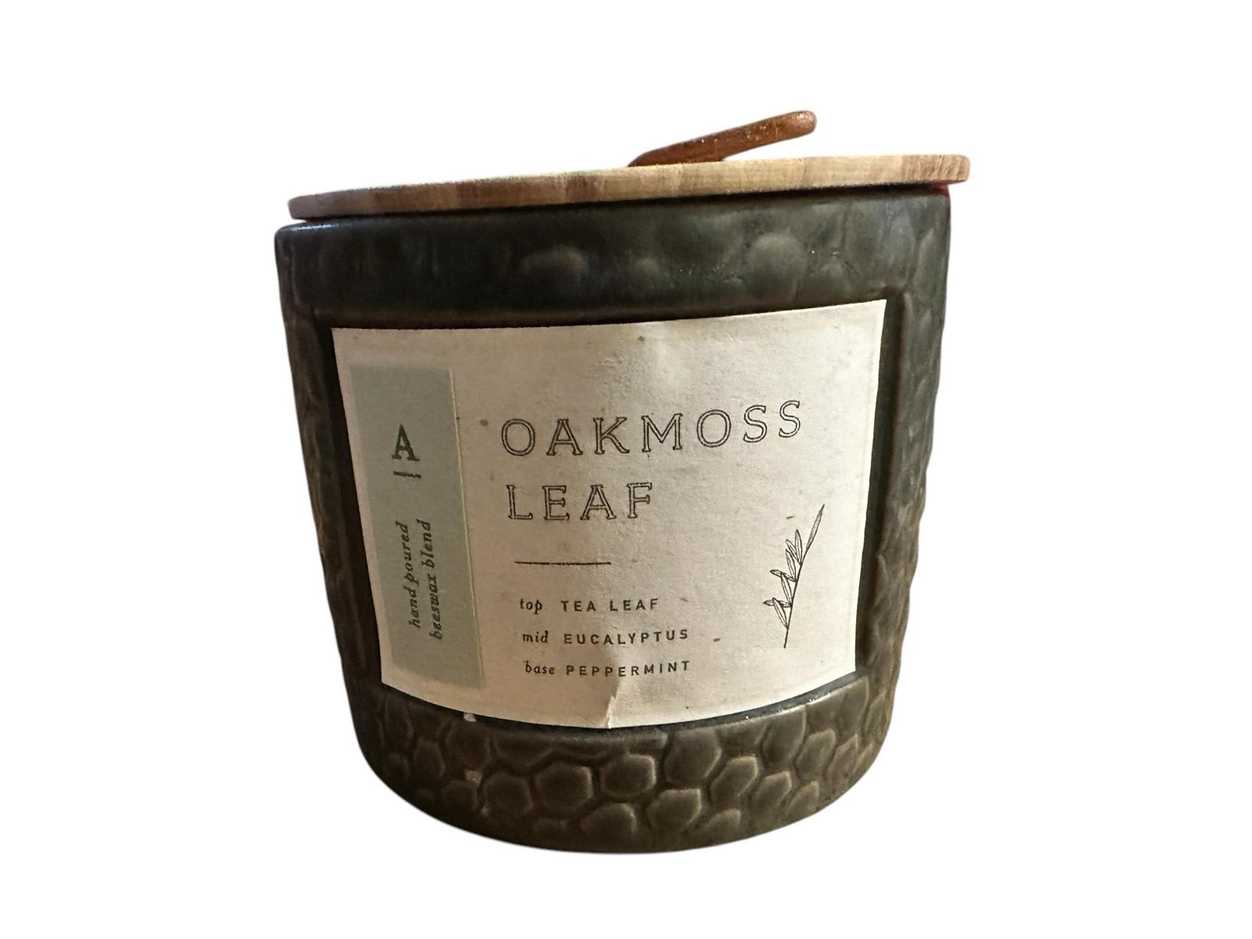 New Anthropologie Hive and Wick Ceramic Candle: Oakmoss Leaf