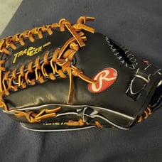 rawlings heart of the hide Protb24 glove