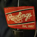 rawlings heart of the hide Protb24 glove