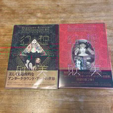 Fantasy Aesthetic Volumes 1 and 2, Set of 2 Books