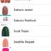 Color street nails bundle