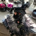 Sitting Witch w/ Broomstick ~ Black/Wht/ Silver w/ Lace~Polka dot & Spiderweb