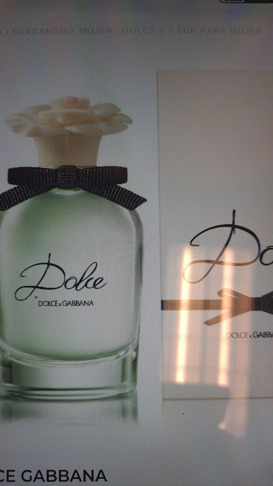 perfume fragrances for women