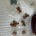PLEASANT COMPANY AMERICAN GIRL - FELICITY NOAH'S ARK TOY- RETIRED Incomplet A149