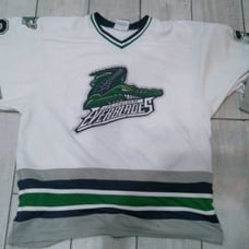 Florida everglades jersey