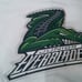 Florida everglades jersey