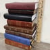 Lot Of 8 Holy Bibles Compact Personal Size NAB ESV NIV NKJV HCSB KJV