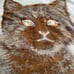 Vintage Kitten Cat Large Retro Reversible Brown Acrylic Blanket 60x79
