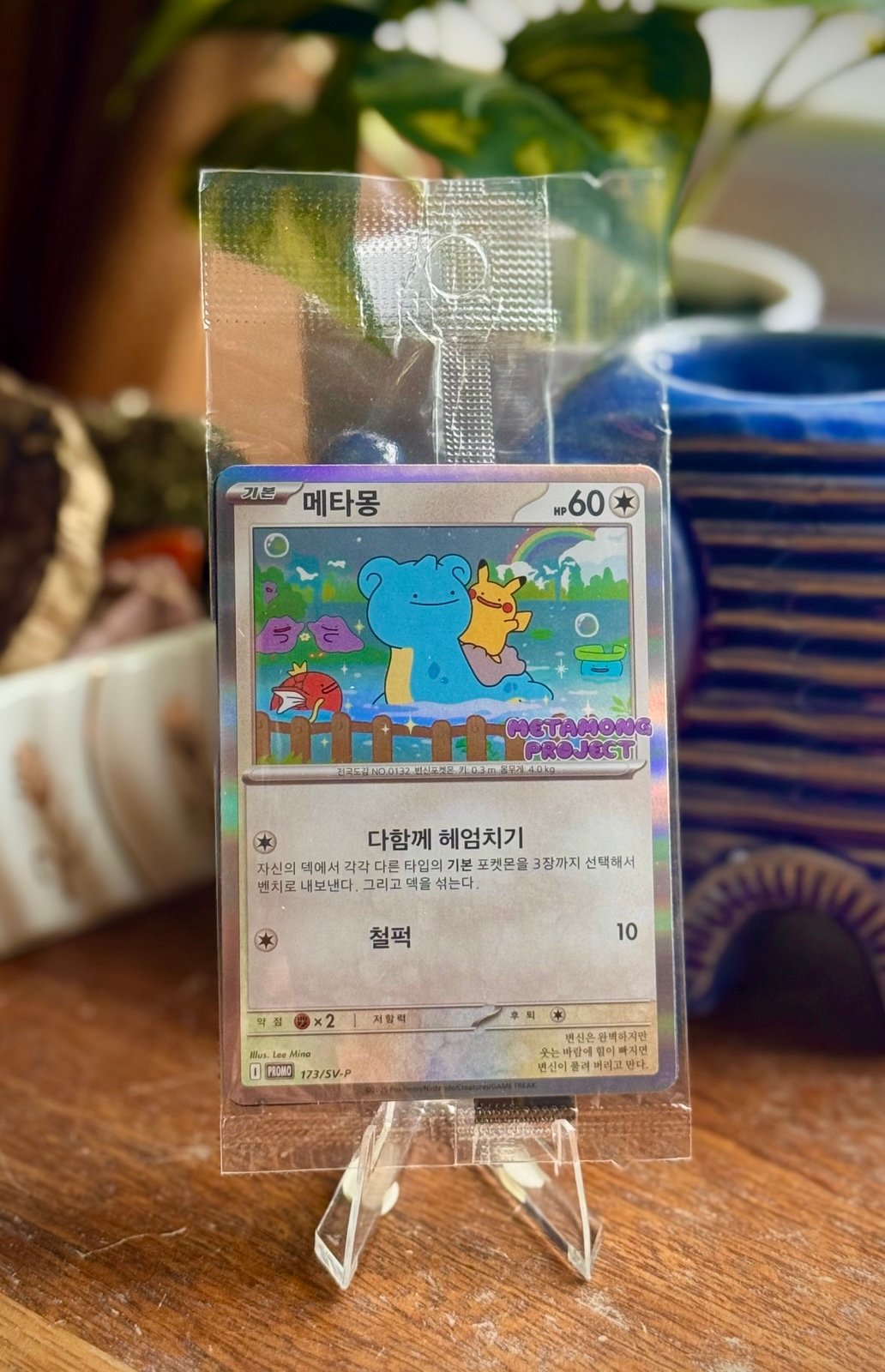 Ditto Promo KOREAN EXCLUSIVE Sealed
