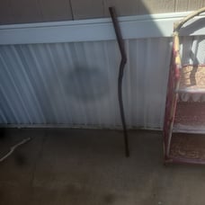 Chip's crazy sticks presents a 42 tall crazy hiking stick
