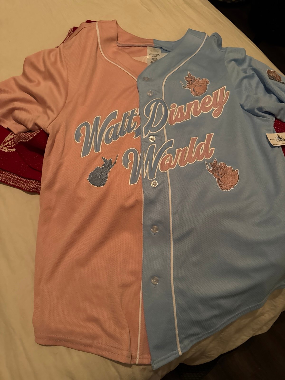 Disney aurora jersey