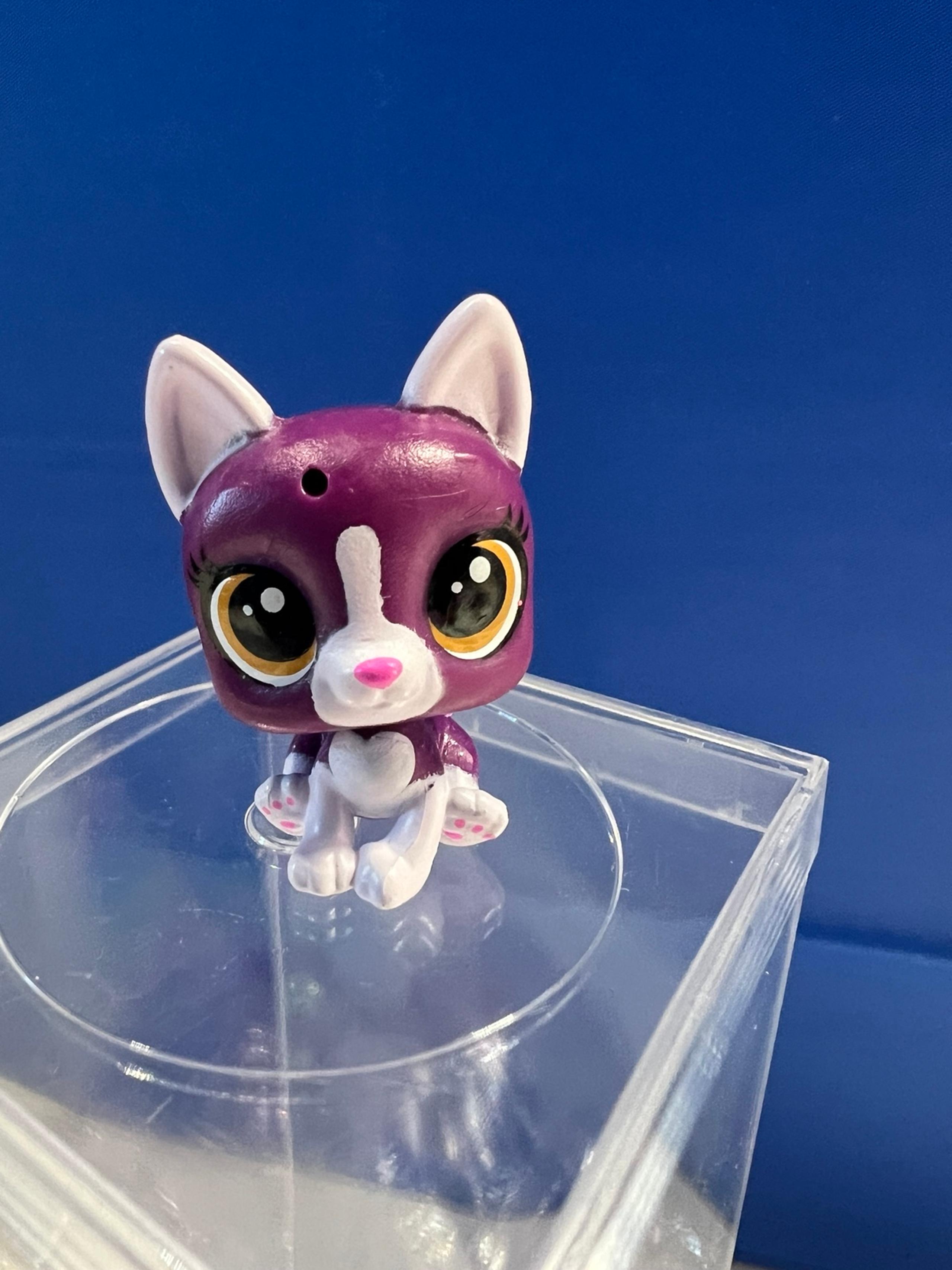 LPS Littlest Pet Shop Blind Bags Purple Boston Terrier Dog #13