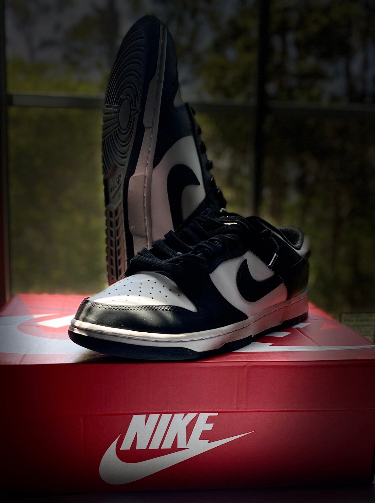 Nike panda dunks