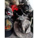 Camouflage Hunting Hats Caps LOT of 40