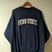 Vintage Y2K Penn State University Arch Logo Nike Center Swoosh Medium Sweatshirt