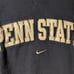 Vintage Y2K Penn State University Arch Logo Nike Center Swoosh Medium Sweatshirt