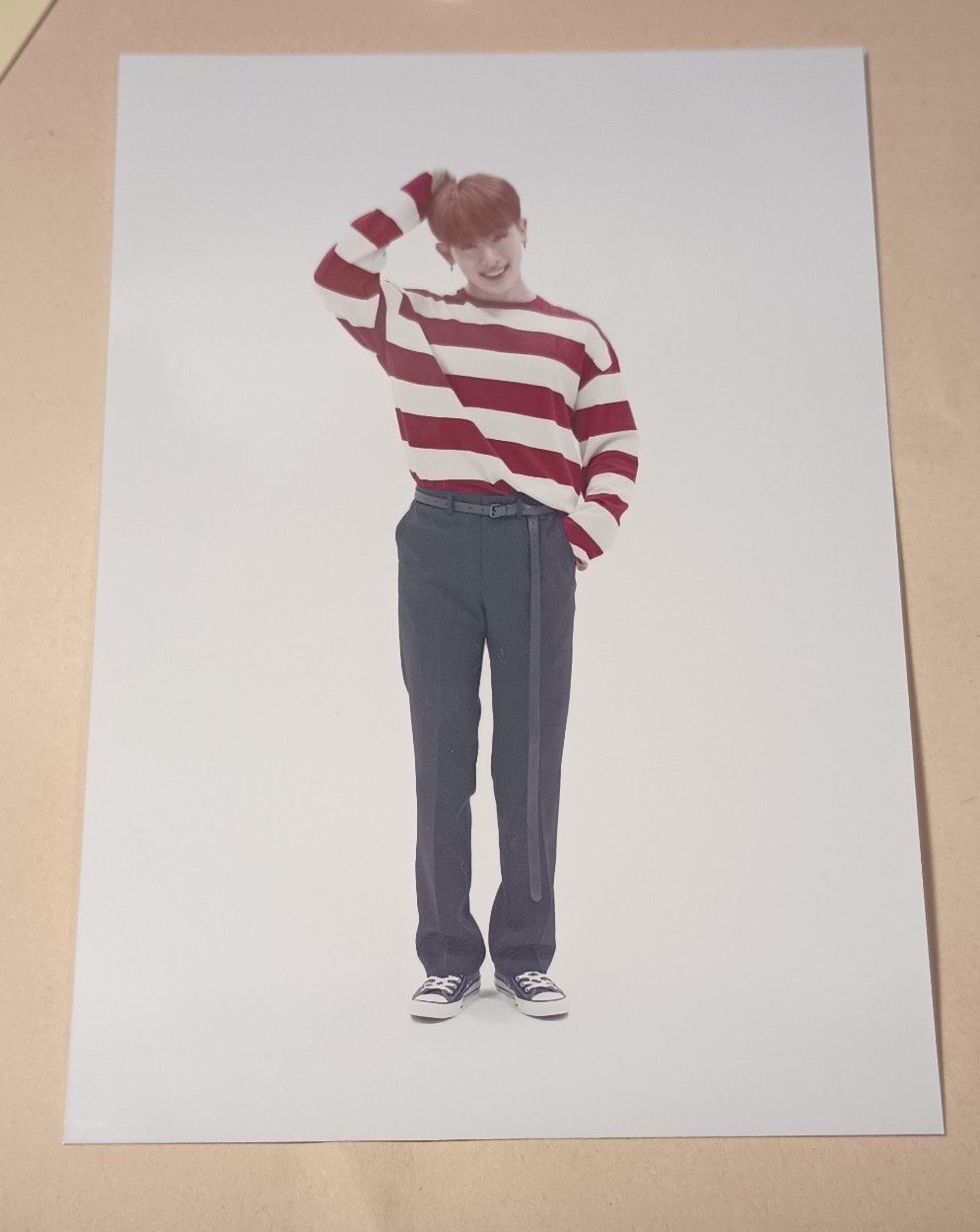 Monsta X Wonho CD pin Japan Inclusion sticker set (12