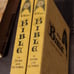 Vintage Bible