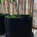 5 Pack 15 Gallon Grow Bags heavy Duty Container Non-woven Fabric Plant Pot