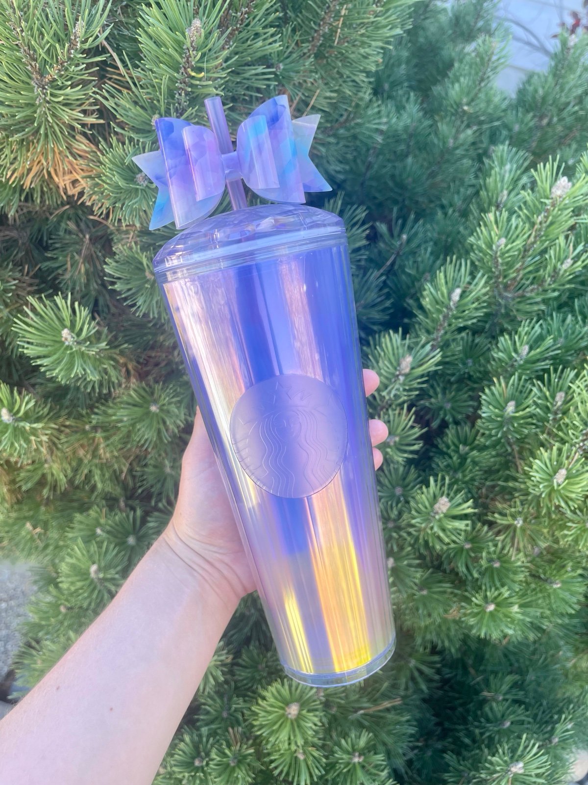 Starbucks Dome aurora China tumbler