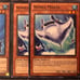 Yugioh Fish Deck