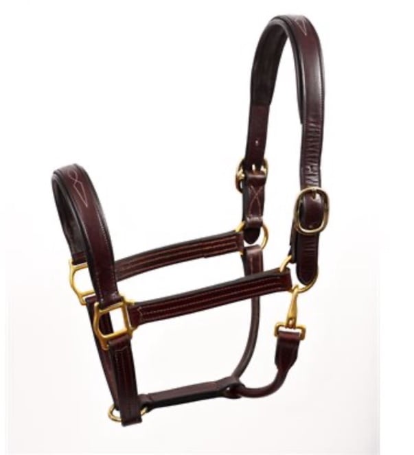 Fancy Stitch Padded Leather Halter