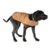 Carhartt Dog Coat, Leash, Collar Medium