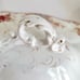 Antique T&R Boote Covered Vegetable Dish Rosebud Semi Porcelain Cottagecore