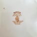 Antique T&R Boote Covered Vegetable Dish Rosebud Semi Porcelain Cottagecore